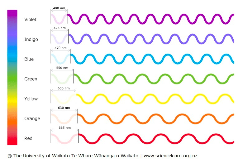 Visible Light Spectrum